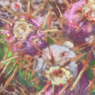 xÉtude pour Fleurs du désert, julie Morin