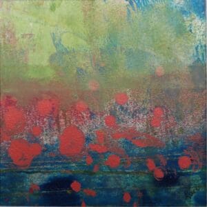 Champs de coquelicots