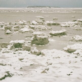 Sans titre (Île de la Corneille)