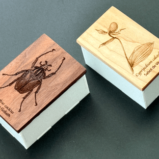 Boîtes en bois avec illustrations de scarabée et ballerine pour cadeaux.