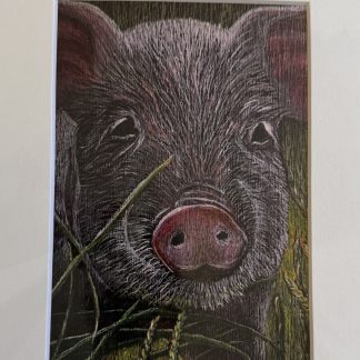 Reproductions 11x14 + passe-partout