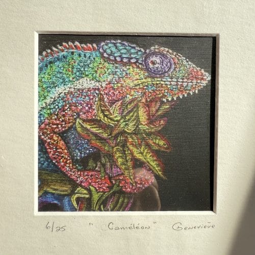 Reproduction 8x8 + passe-partout