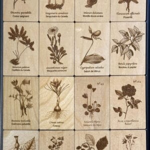 Aimants série botanique