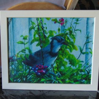 Geai bleu